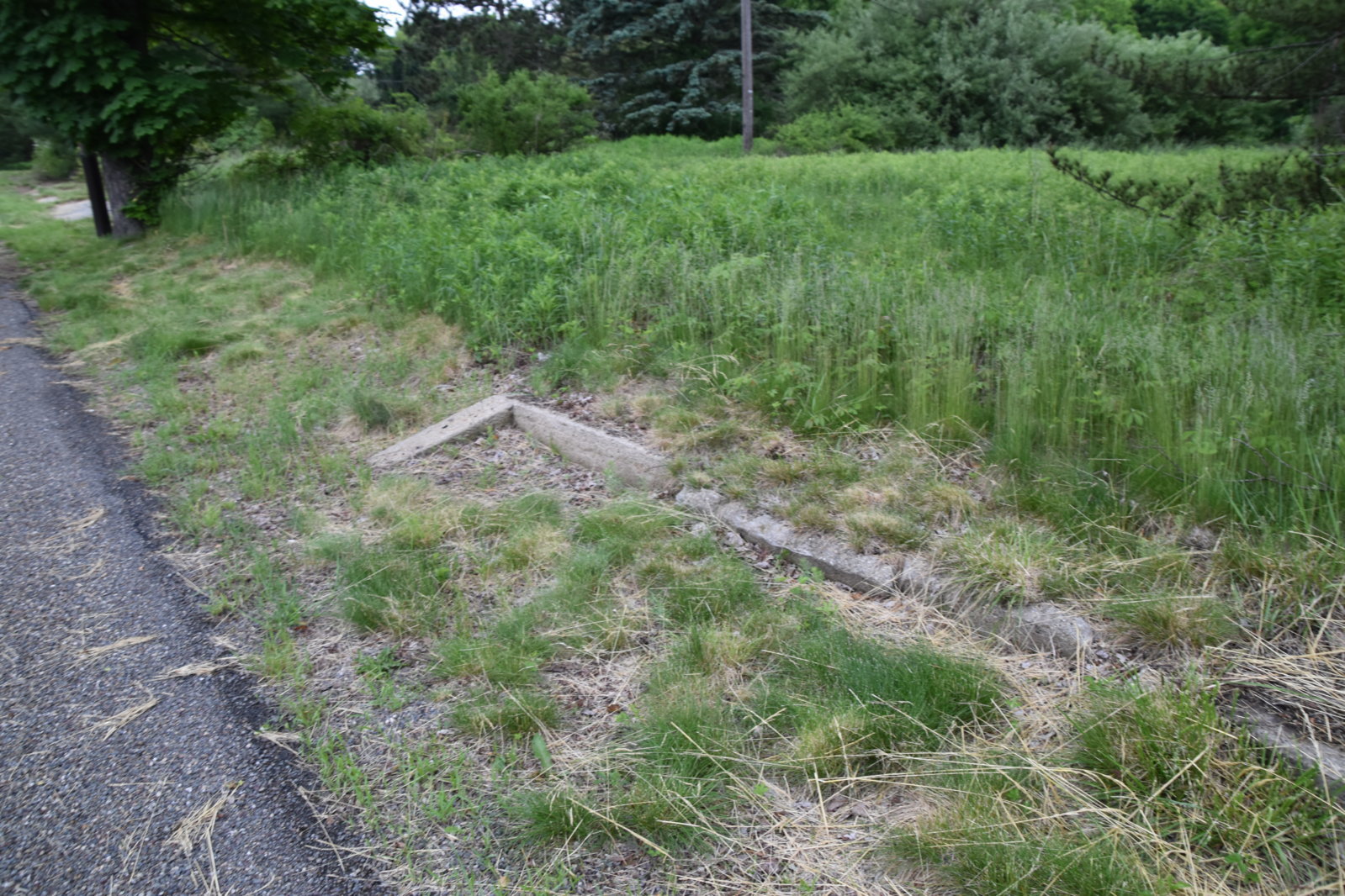 EB1_7129.jpg
