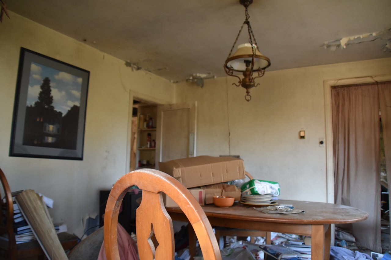 EB1_7145.jpg