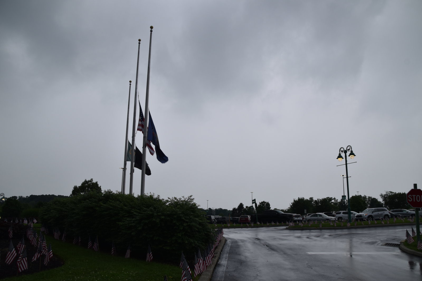 EB1_7153.jpg