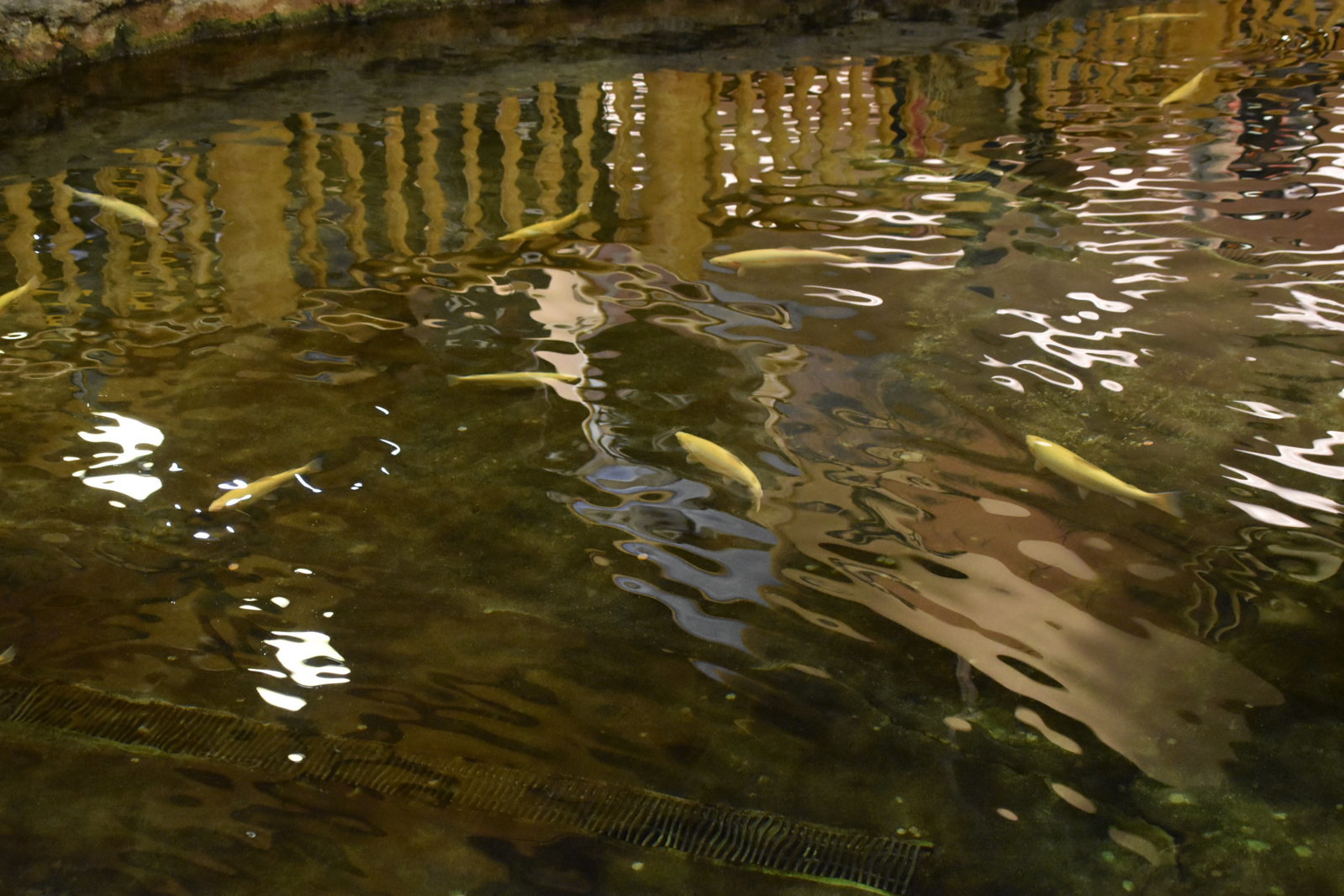 EB1_7167.jpg