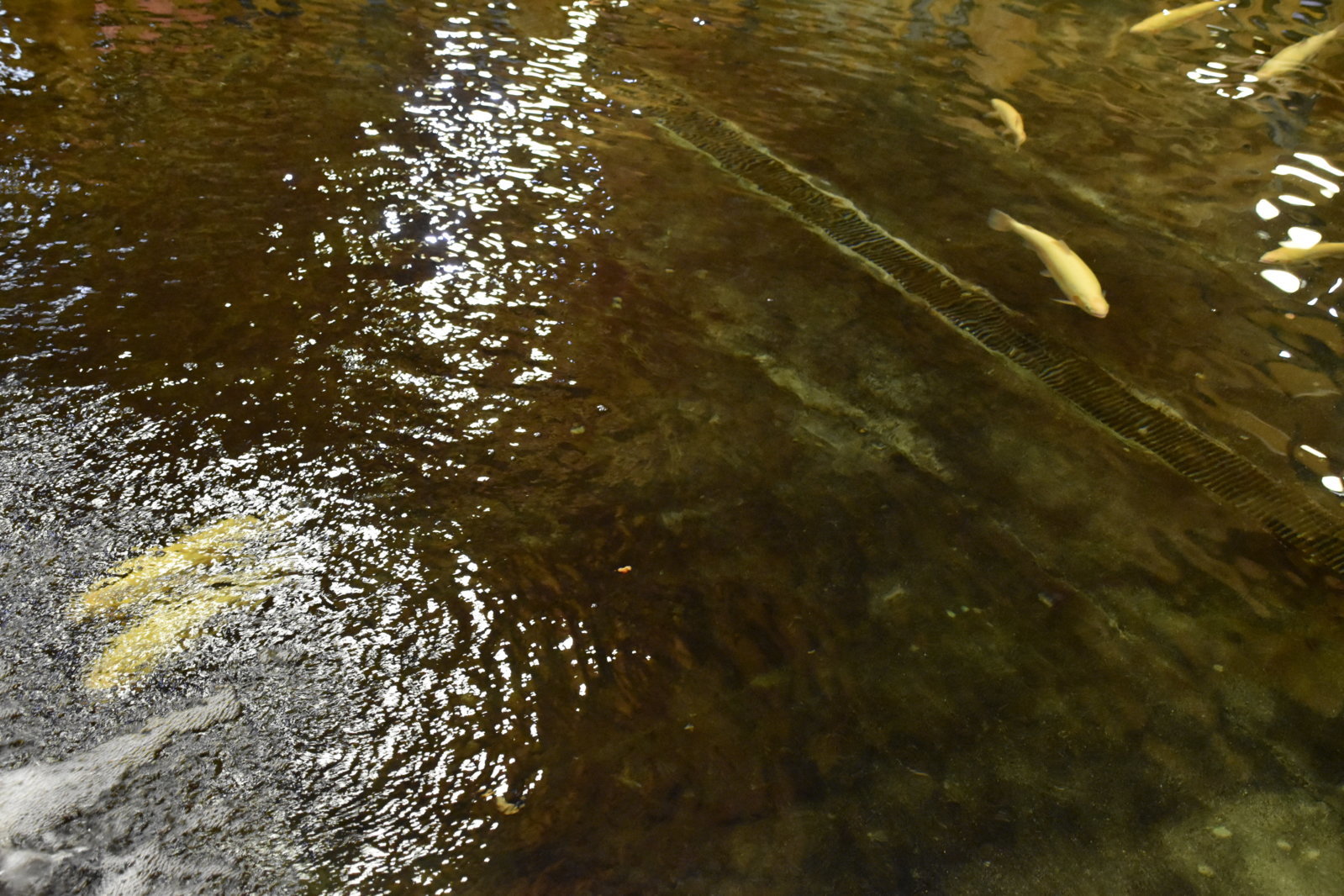 EB1_7169.jpg