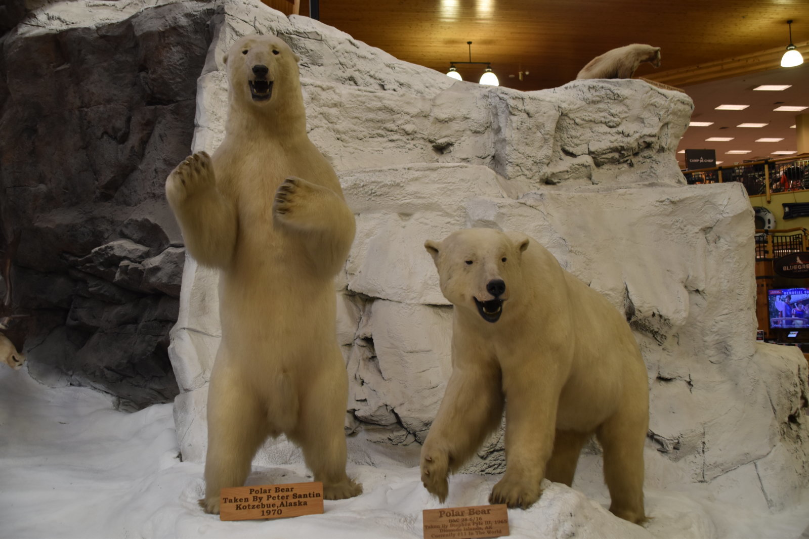 EB1_7170.jpg