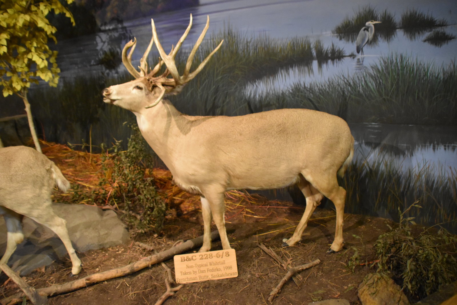 EB1_7188.jpg