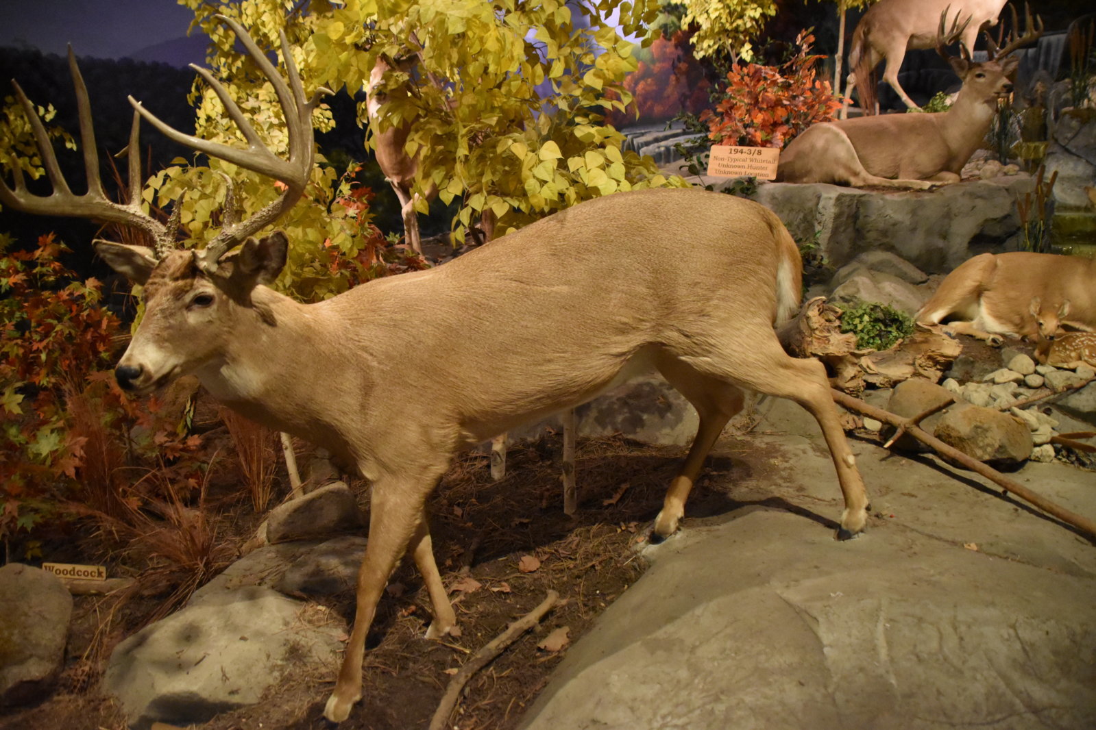 EB1_7197.jpg