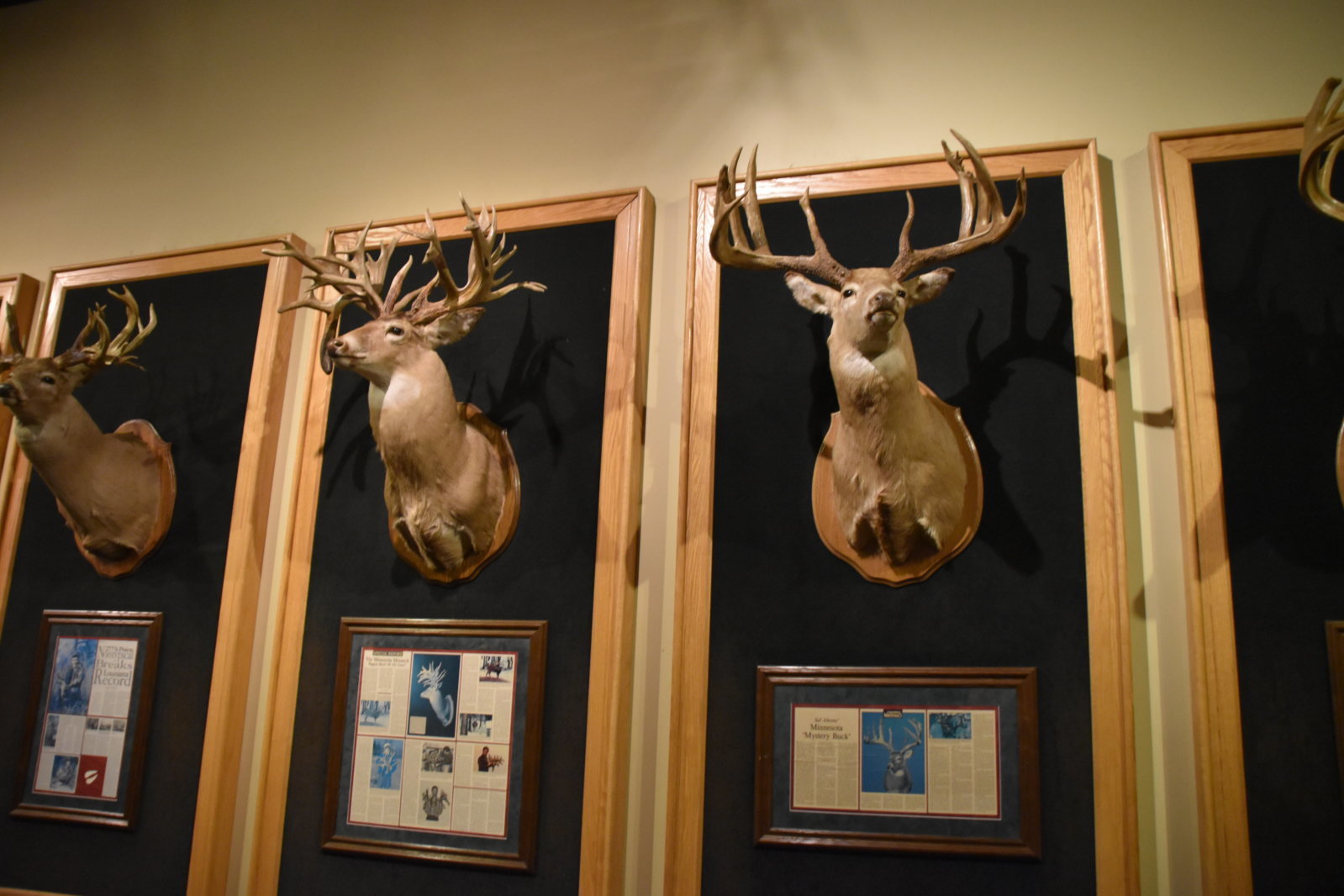 EB1_7199.jpg