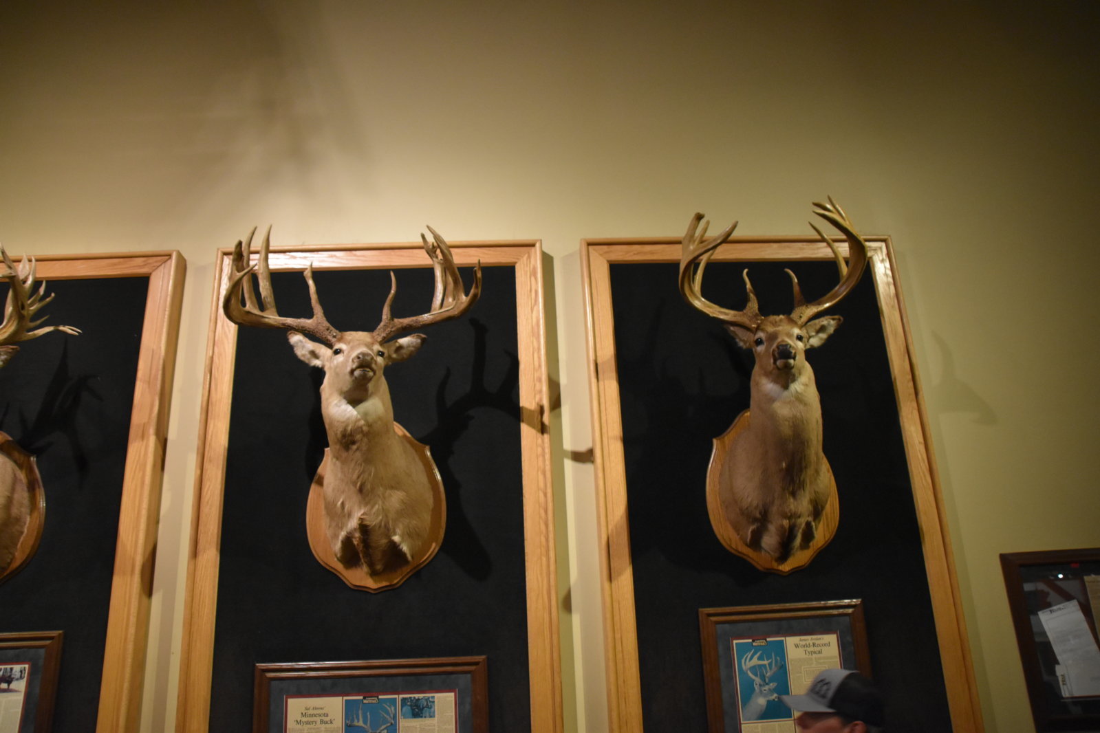 EB1_7200.jpg
