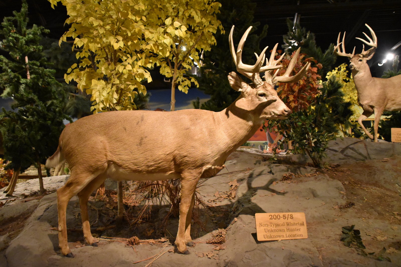 EB1_7201.jpg