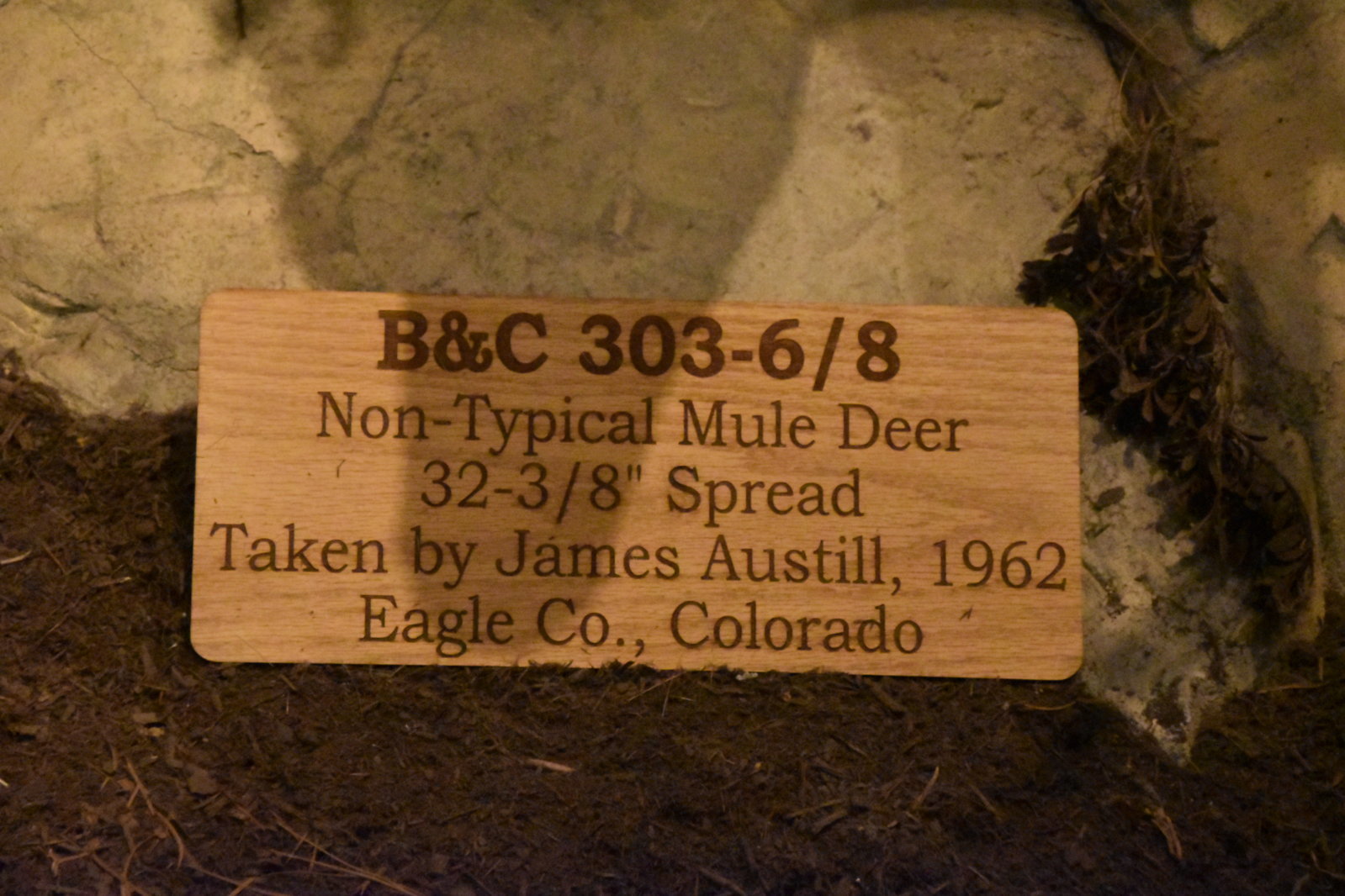 EB1_7212.jpg