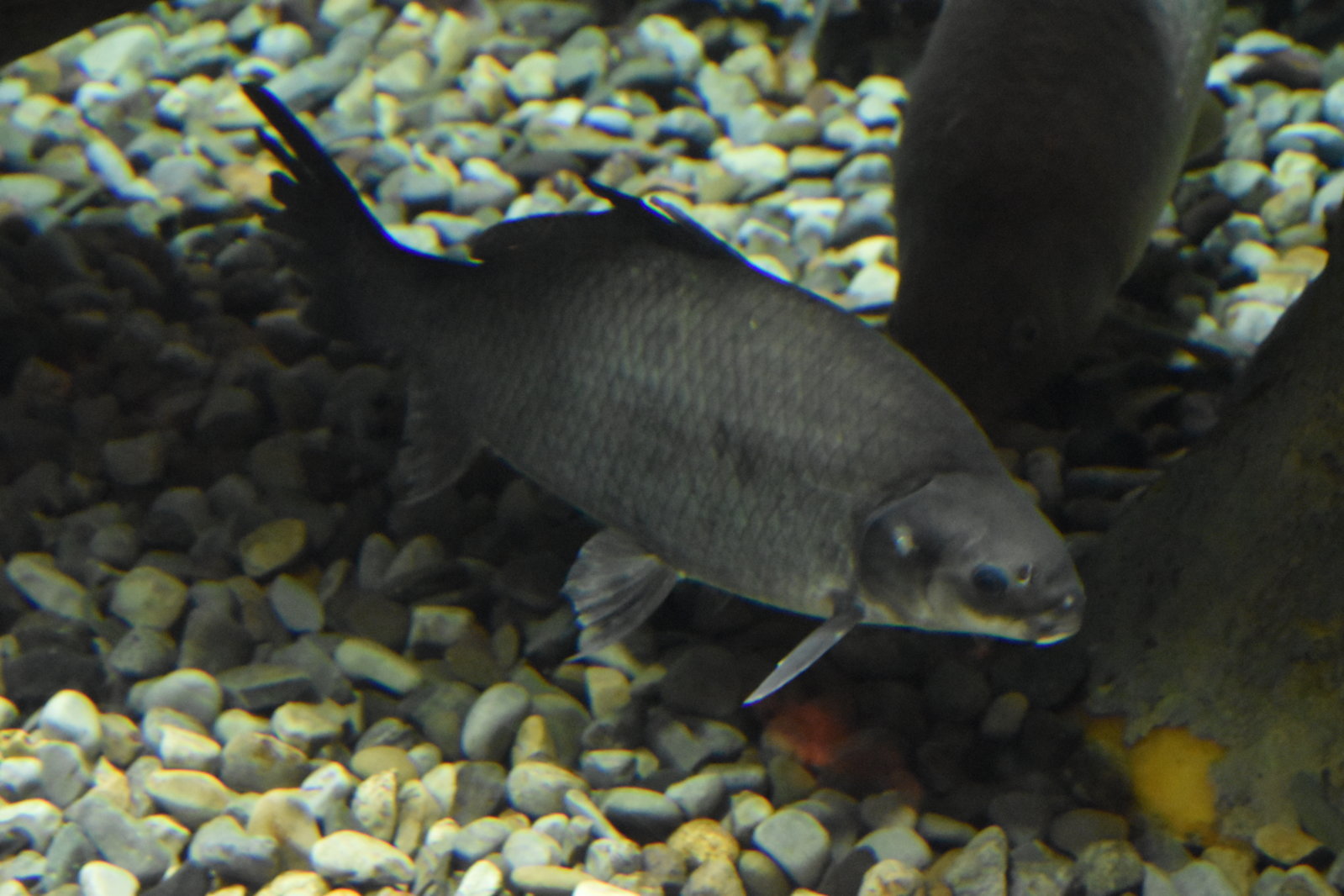 EB1_7254.jpg