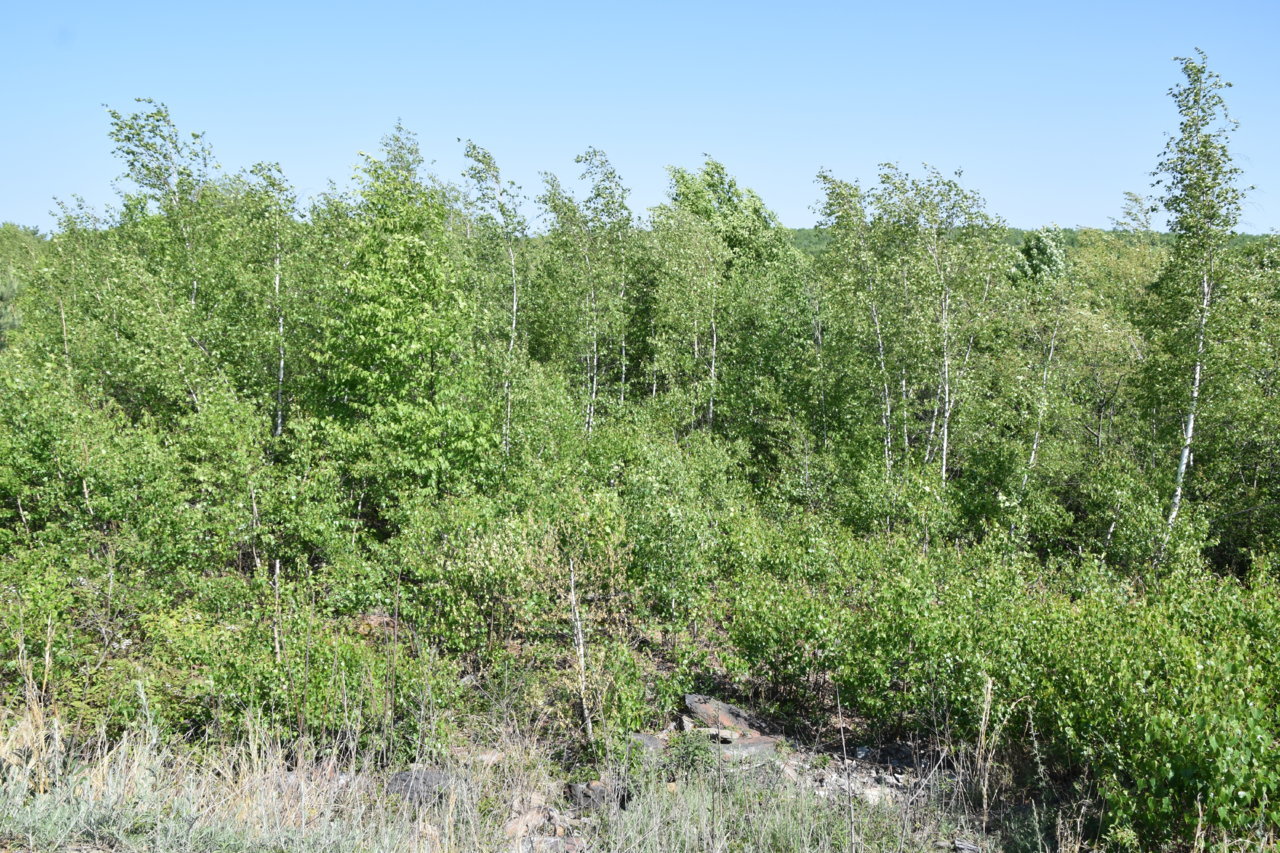 EB1_7588.jpg