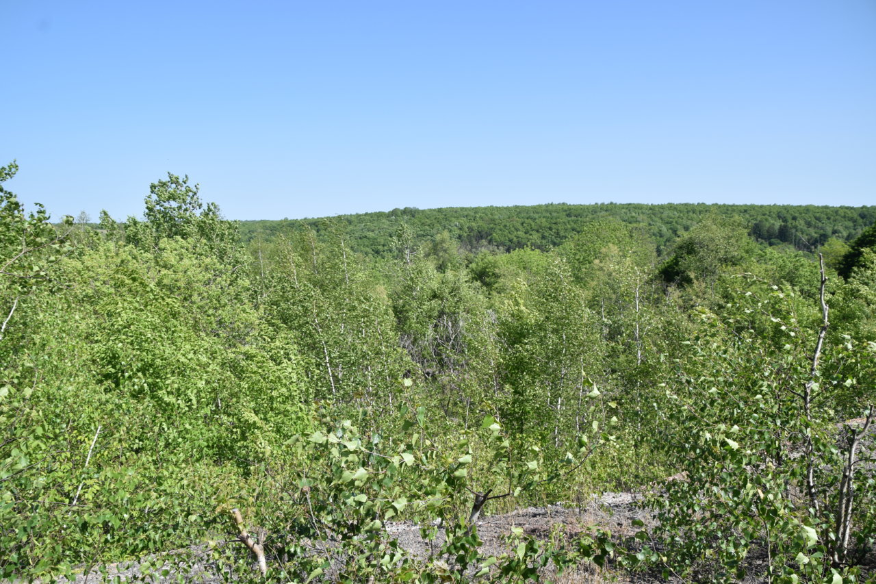 EB1_7592.jpg