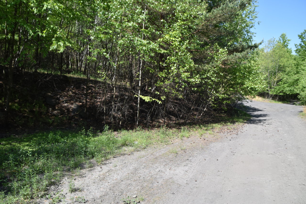 EB1_7595.jpg