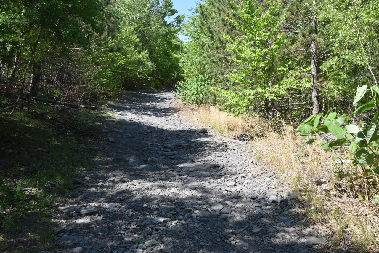 EB1_7598.jpg