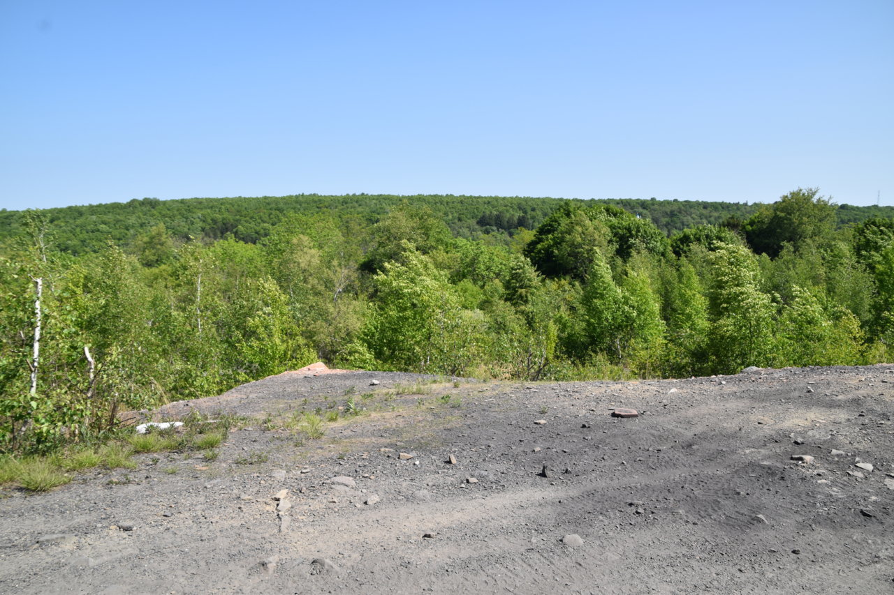 EB1_7601.jpg