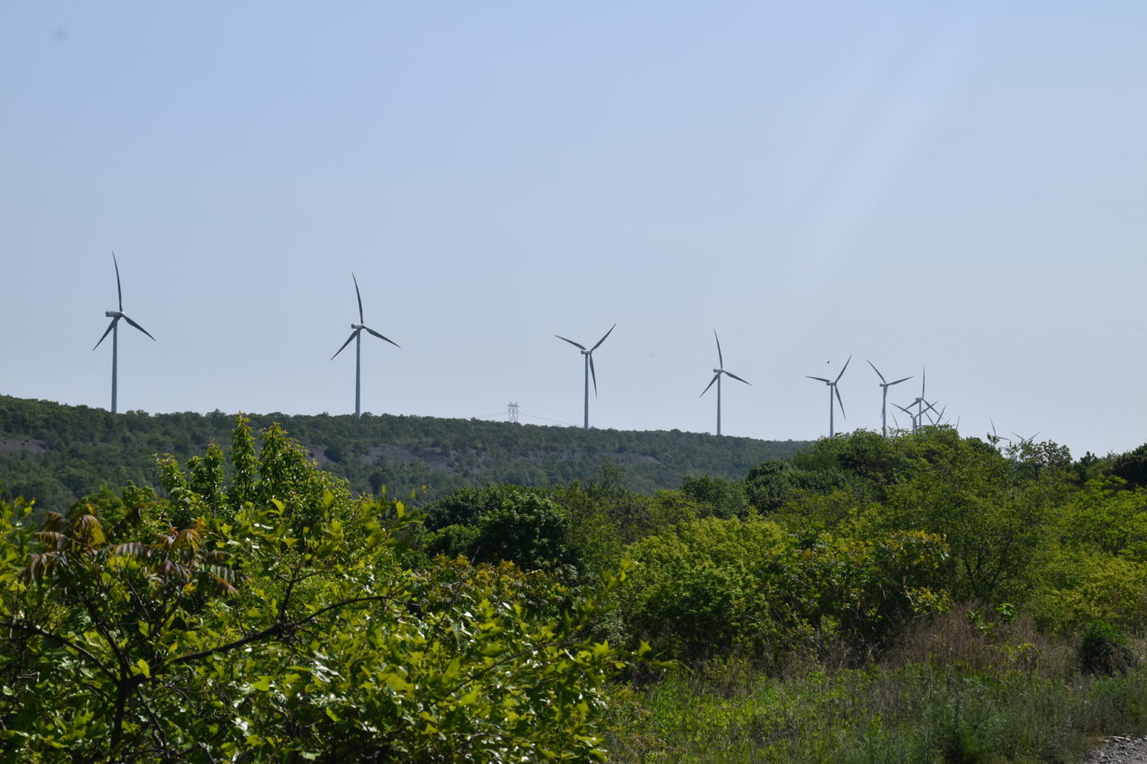 EB1_7603.jpg