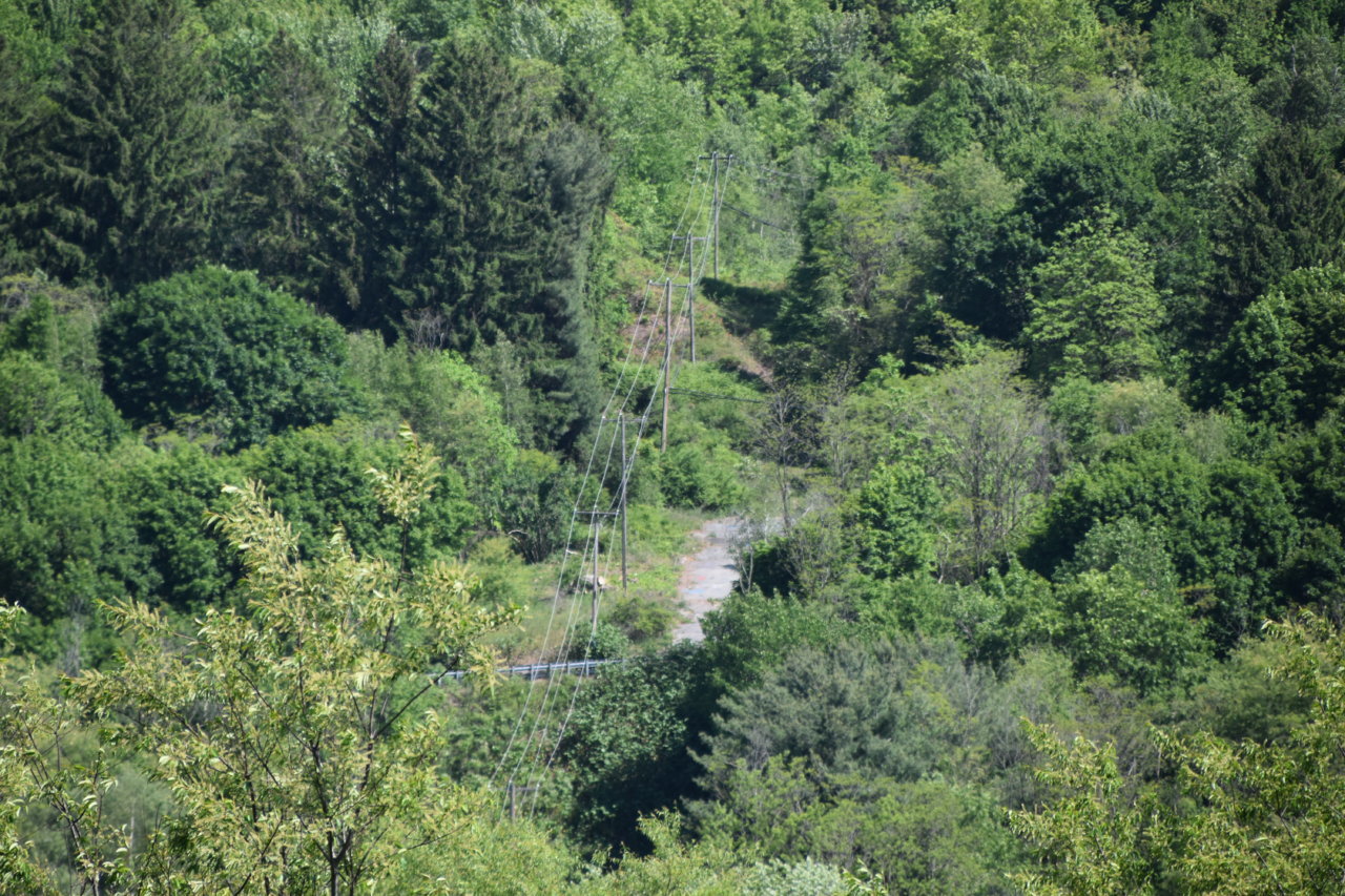 EB1_7604.jpg