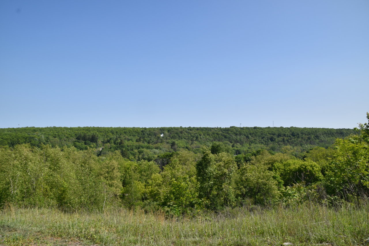 EB1_7605.jpg