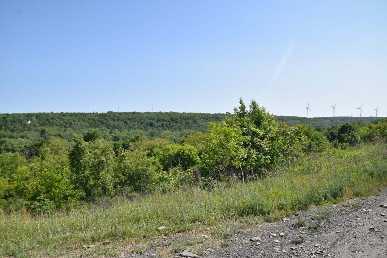 EB1_7606.jpg
