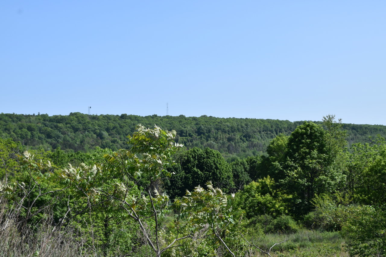 EB1_7608.jpg