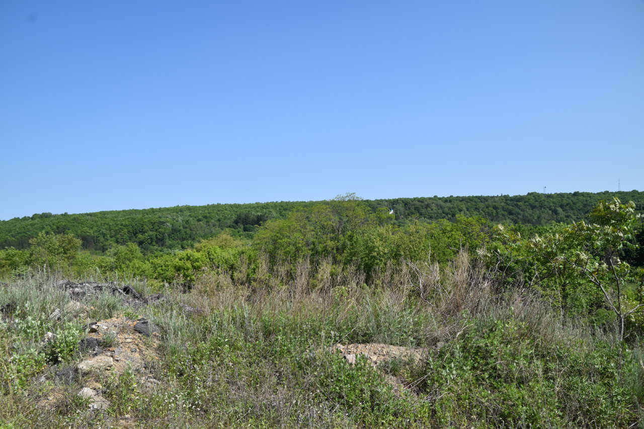 EB1_7609.jpg