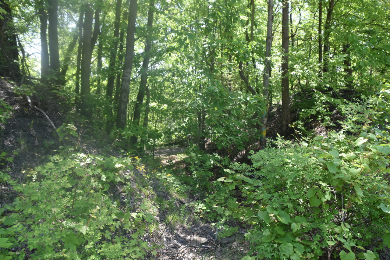 EB1_7743.jpg
