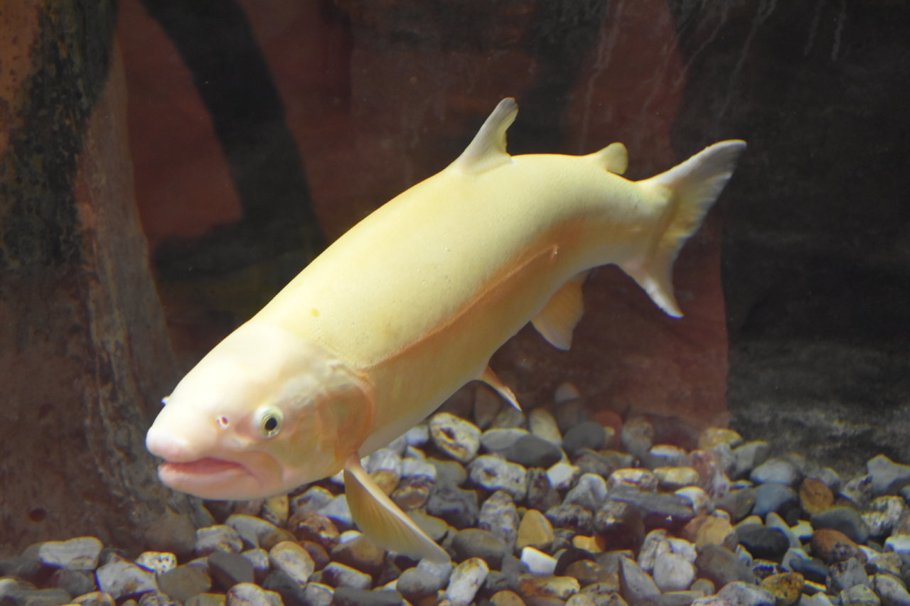 EB1_7758.jpg
