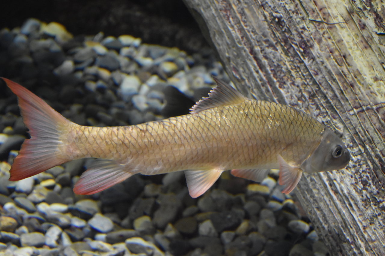 EB1_7768.jpg