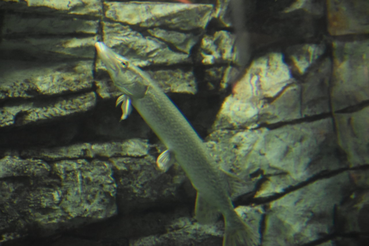 EB1_8347.jpg