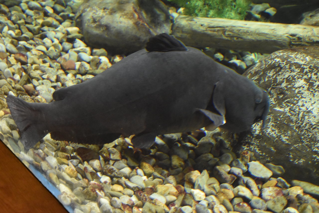 EB1_8349.jpg