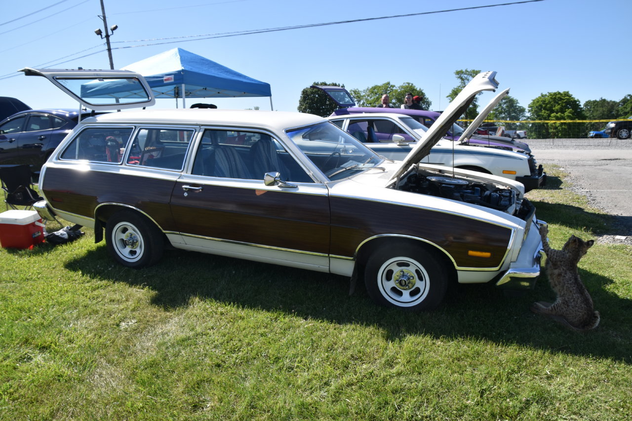 EB1_9024.jpg