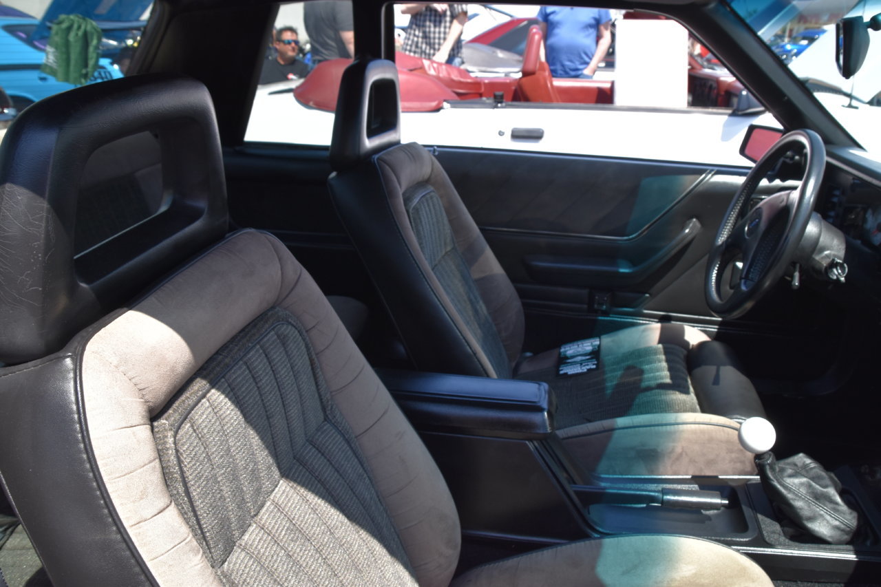 EB1_9112.jpg