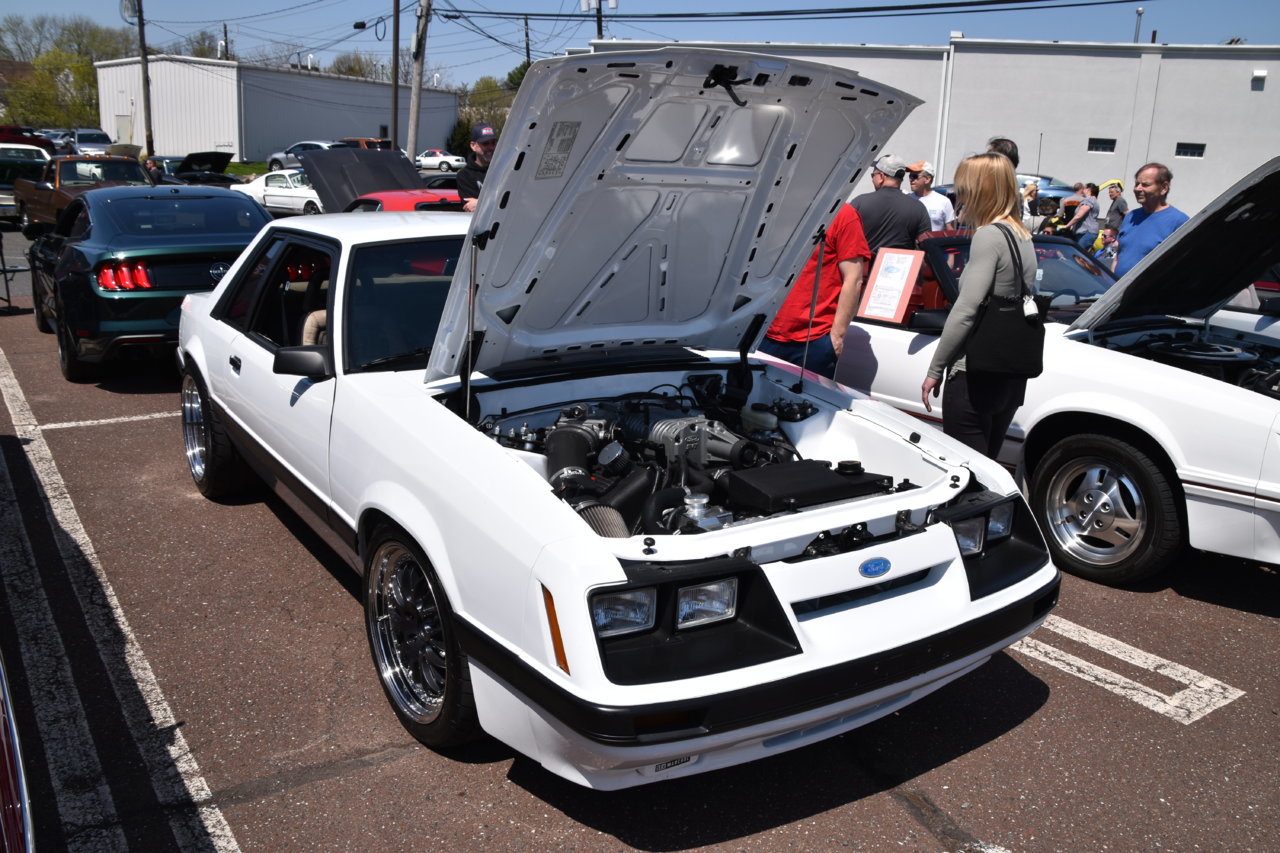 EB1_9113.jpg
