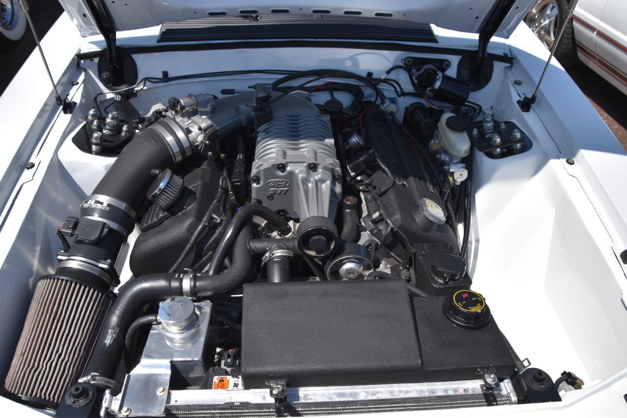 EB1_9115.jpg