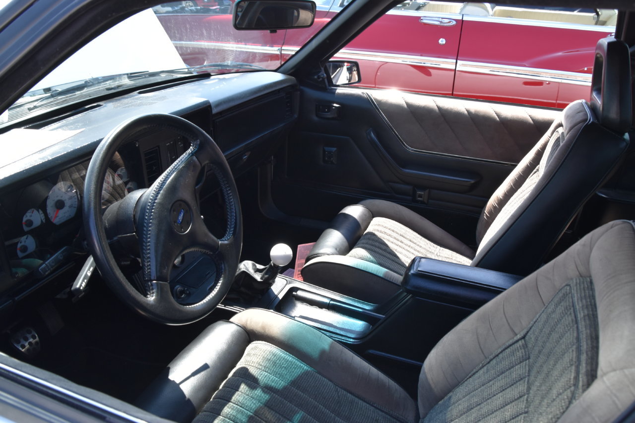 EB1_9117.jpg
