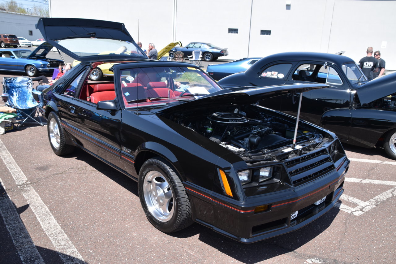 EB1_9133.jpg
