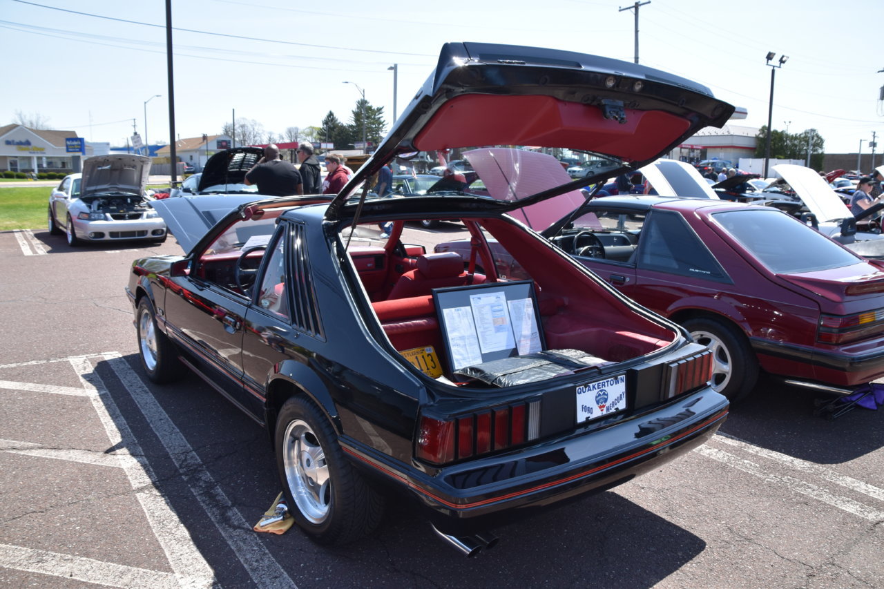 EB1_9149.jpg