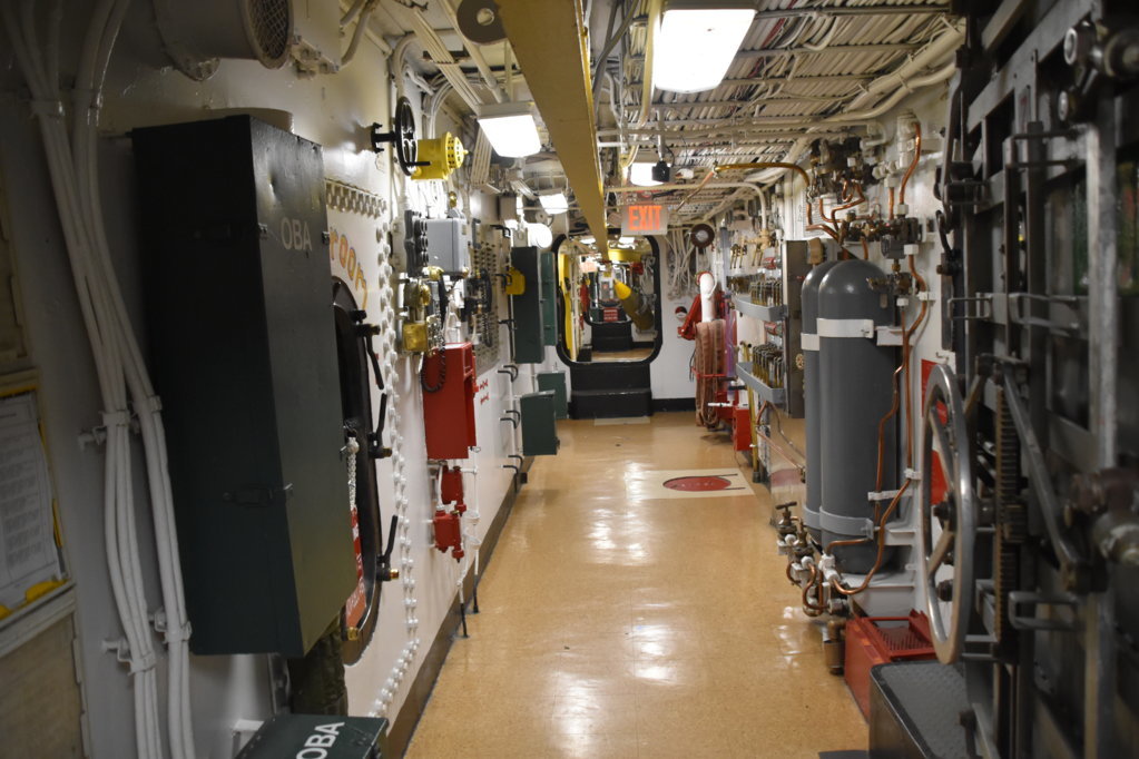 EB1_9660.jpg