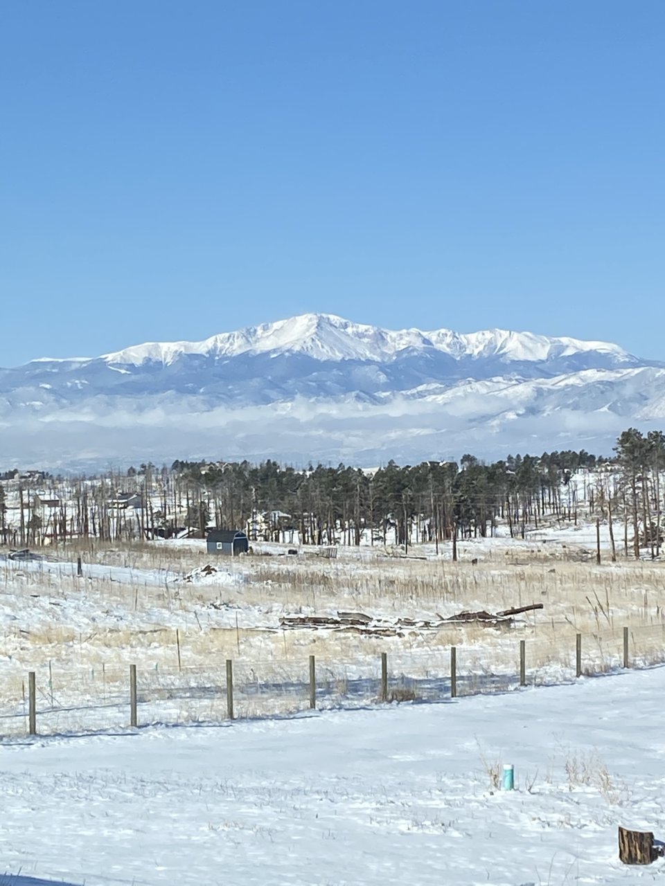 EB2D8618-F45B-4E6B-9124-E6D6FF9102B4.jpg