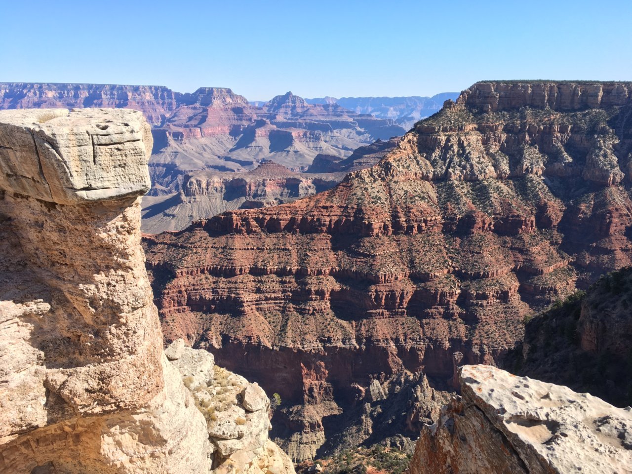 EB3539A4-9F6E-48B7-AB80-CB227F71CA63.jpg