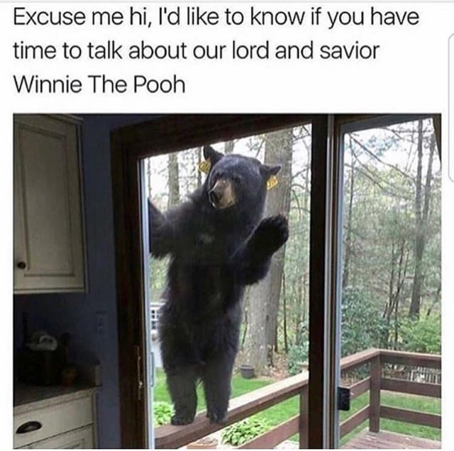 ebwnzqu4ngi01.jpg