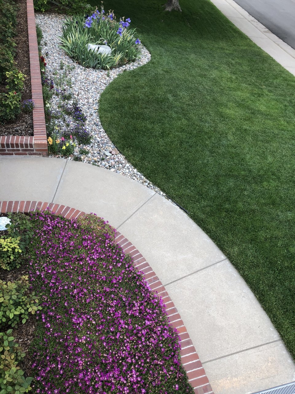 EC1EF51E-951B-4999-825D-7E040DB6A4A1.jpg