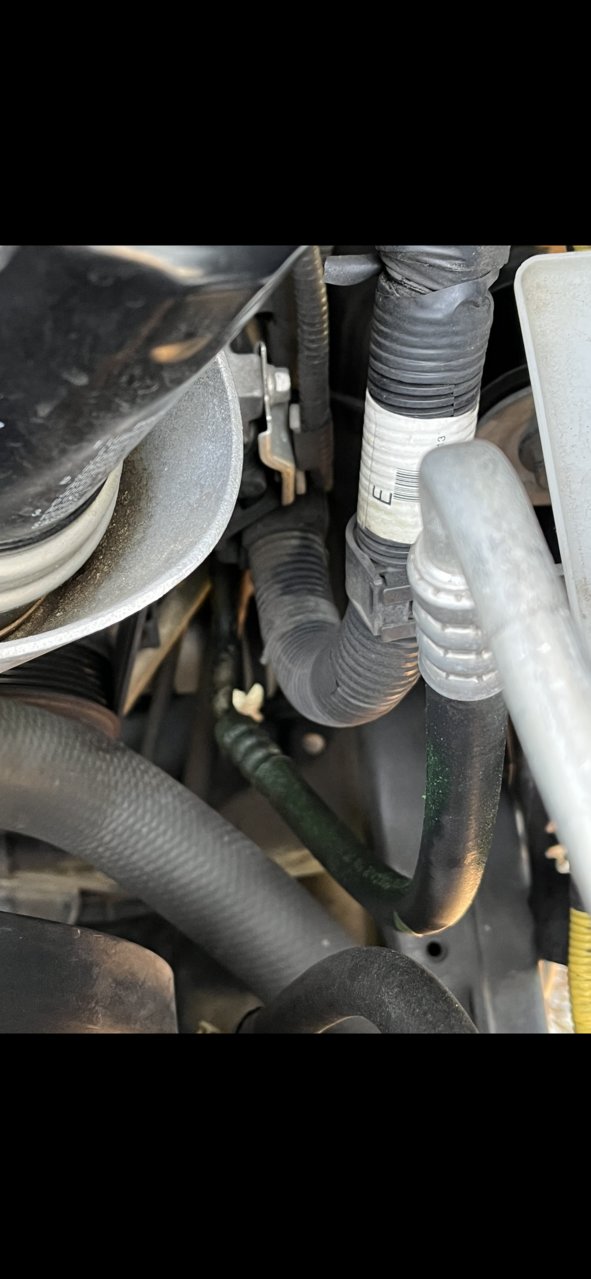 ECA561F5-CB96-4508-89A5-233B8C30CDE6.jpg