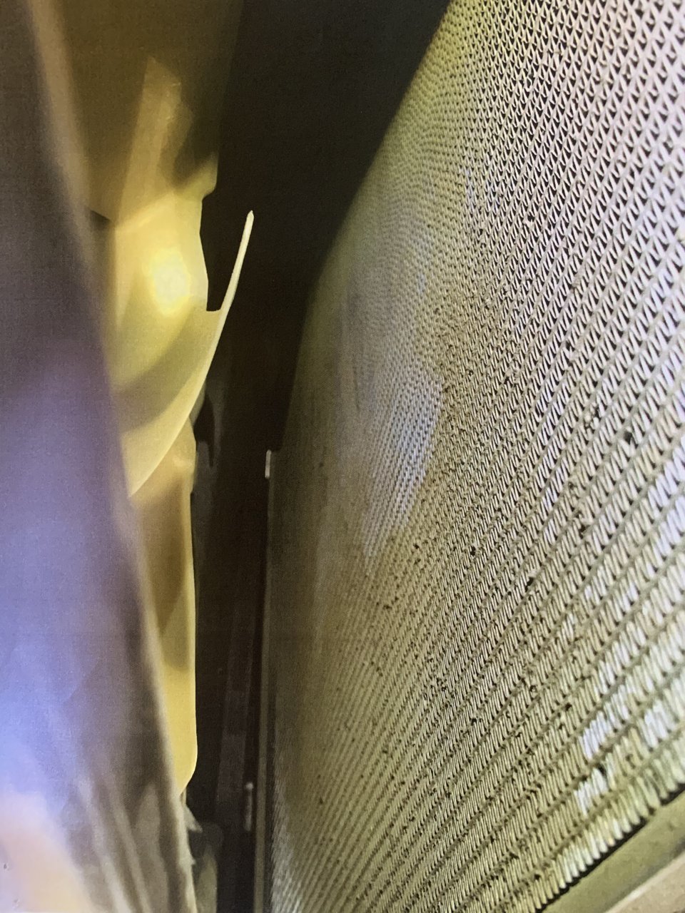 ECCDE66E-9C67-4097-80C1-91E43881161D.jpg