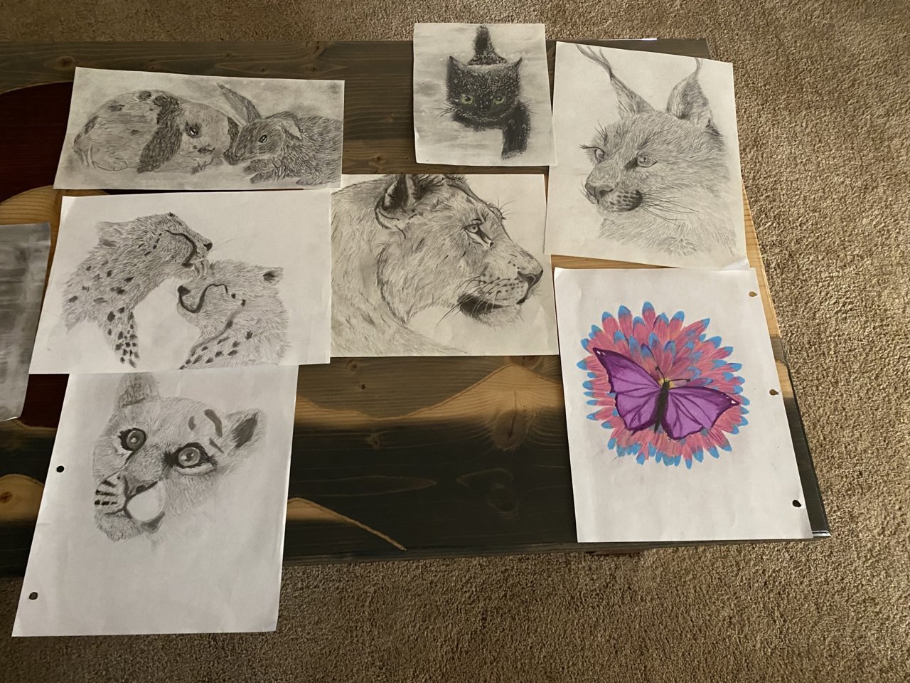 ECCF3162-8BFE-4D08-8483-E66181F7617A.jpg