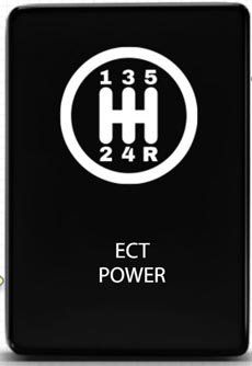ECT.jpg
