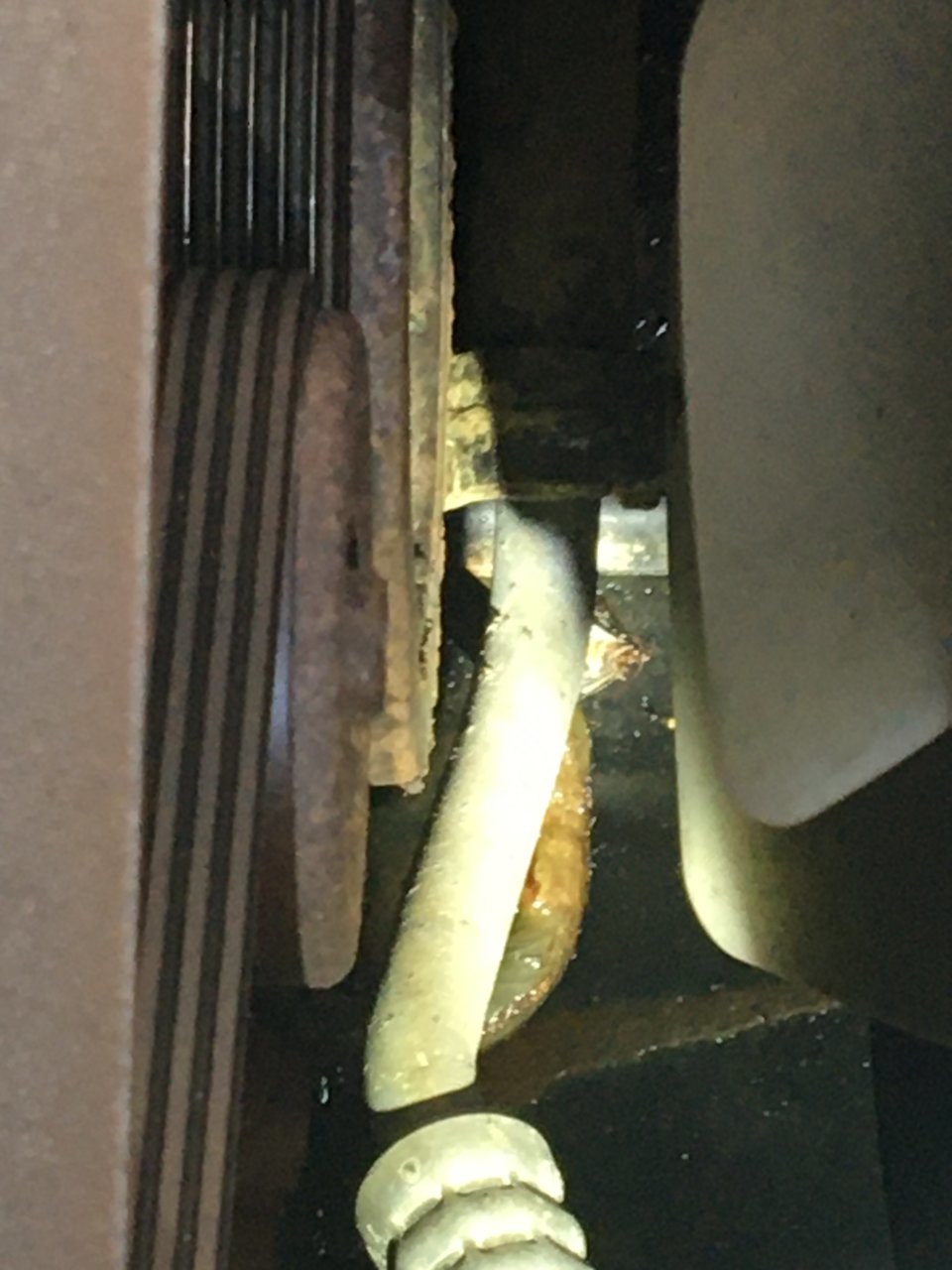 ED1C5E49-D145-48F1-BFB1-6FCA05E58BF3.jpg
