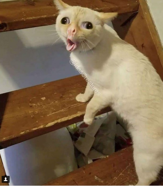 ed5.jpg