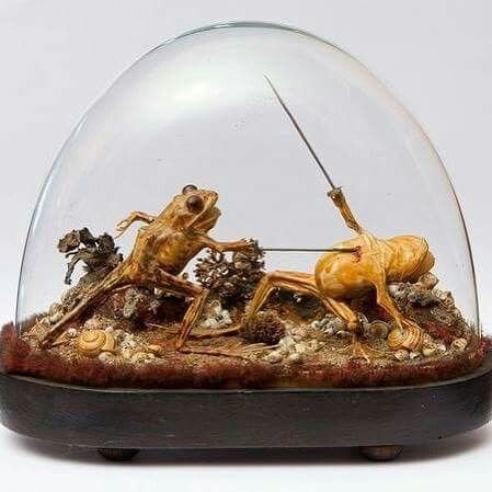 eda82ee6a4707643cf8e1c5b35ca69bf--taxidermy-swords.jpg