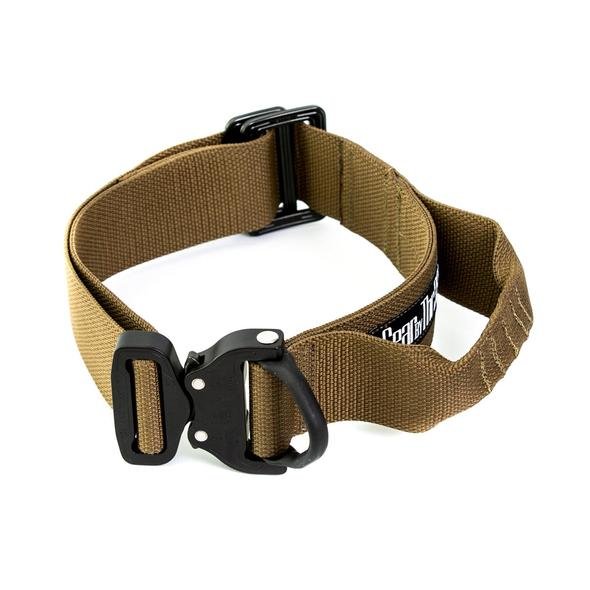EDC_V2_-_CB1_590x.jpg
