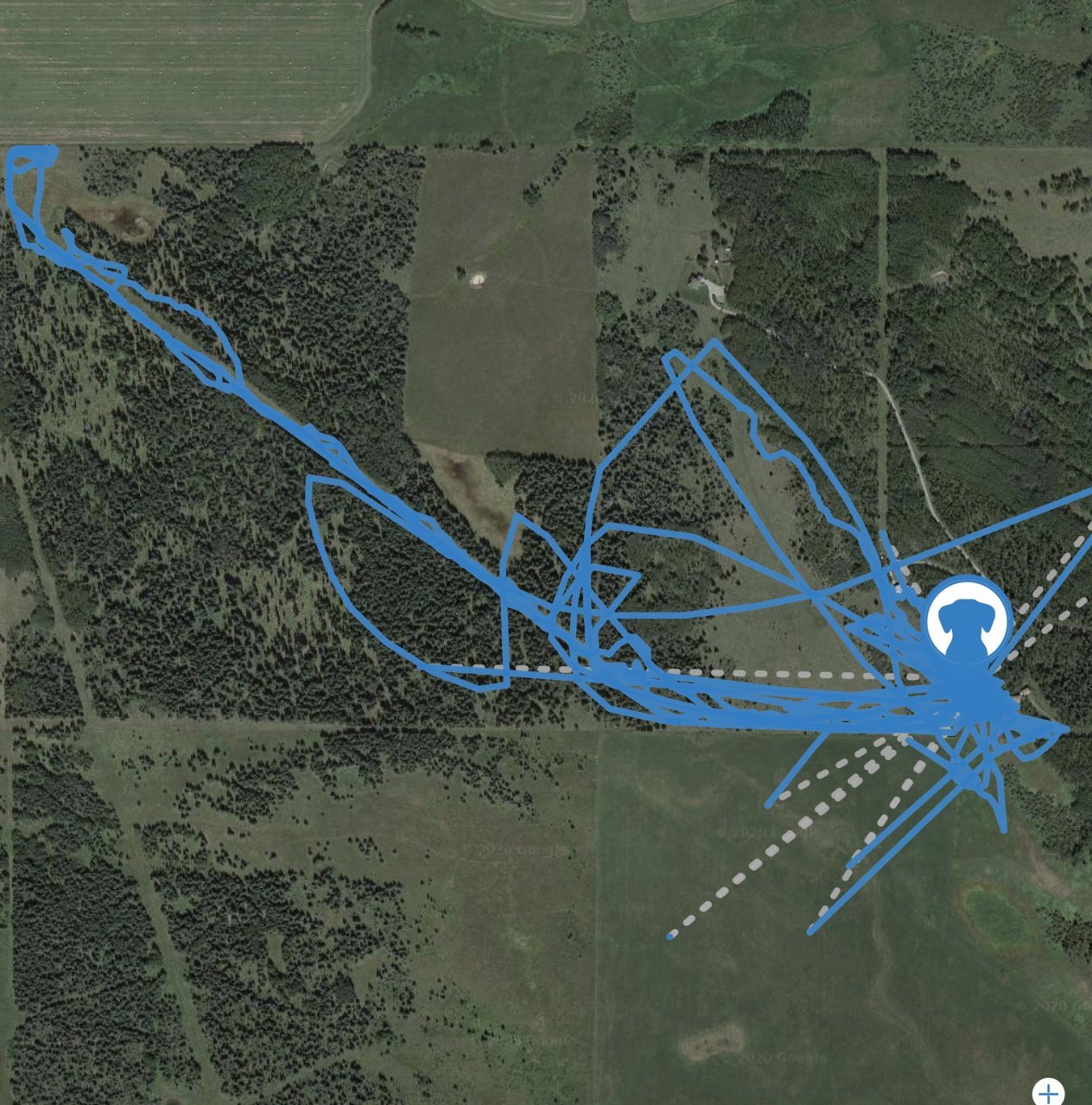Eddie Heat Track Route.jpg